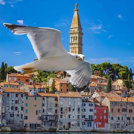 Sea View House Lejlighed *