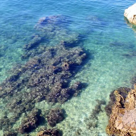 Sea View House Lejlighed