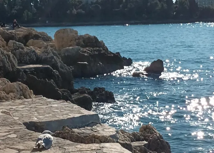 Apartment Sea View House